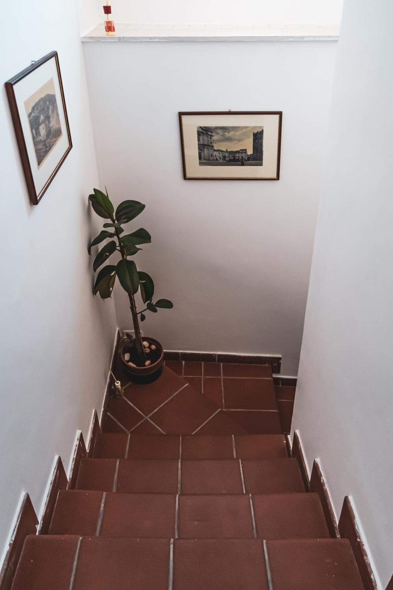 Casina Carina - Intero Appartamento Indipendente Alatri Exterior photo